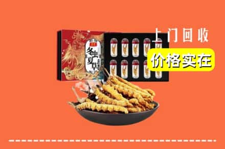 巴东县回收冬虫夏草
